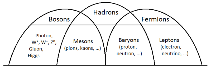 venn diagram composing hadrons, fermions, and bosons